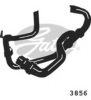 GATES 3856 Radiator Hose